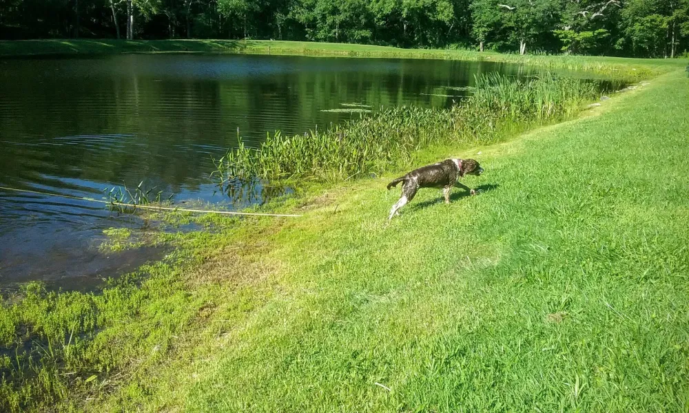 Acorn Acres Campground
