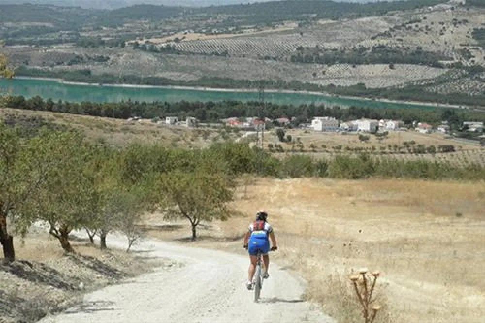 Camping los Bermejales