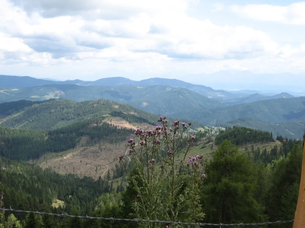 Camping da' Bräuhauser