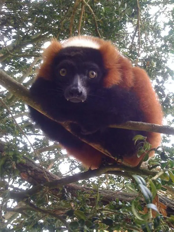 Camping Club le Parc de Paris