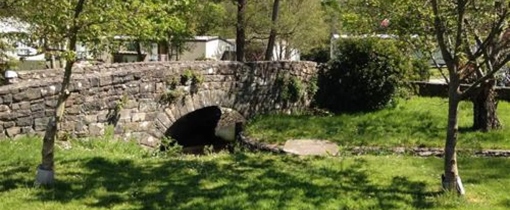 Llwyngwair Manor Holiday Park