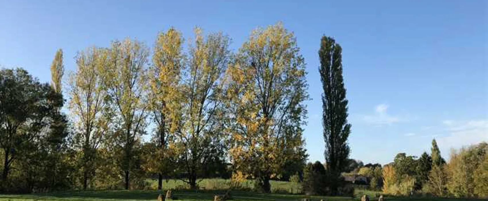 Cotswolds Camping at Holycombe