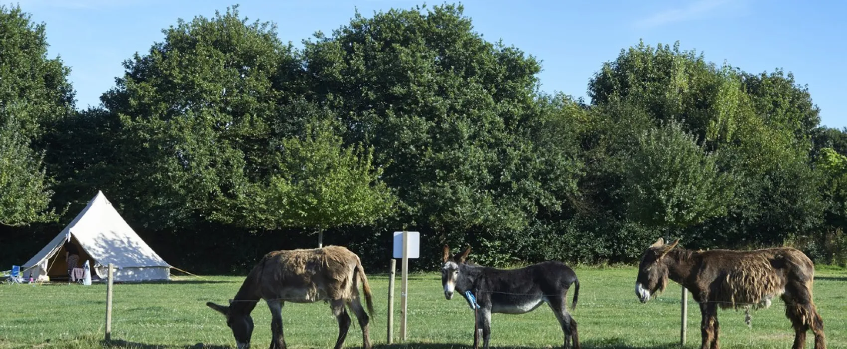 Camping la ferme Croas Men