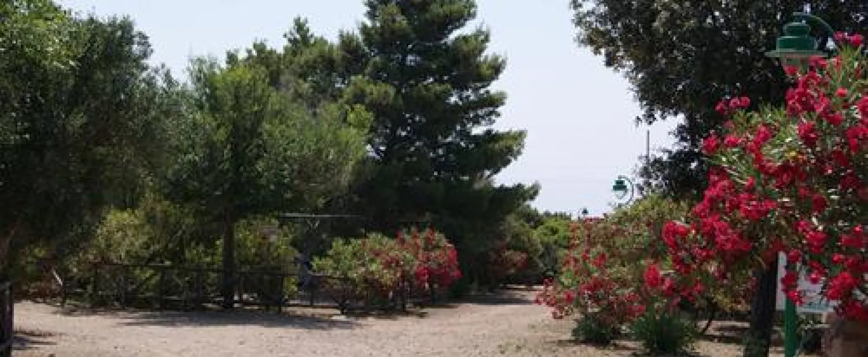 Camping Village Tesonis