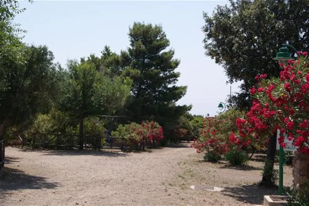 Camping Village Tesonis