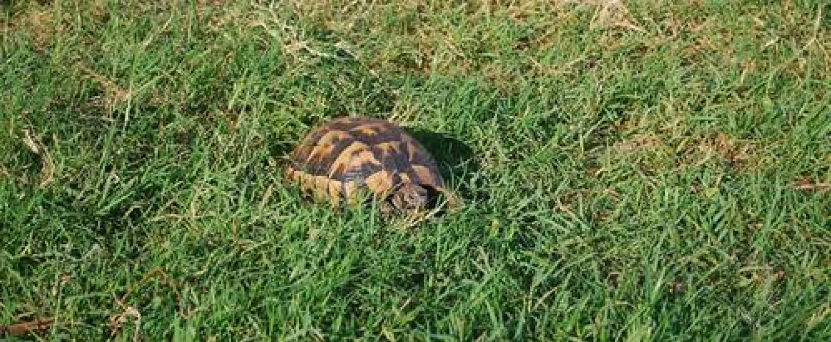 Andriake Camping Demre