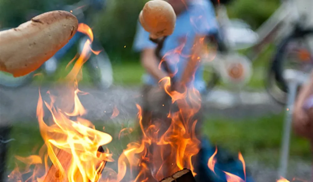 Kaiser Camping Outdoor Resort