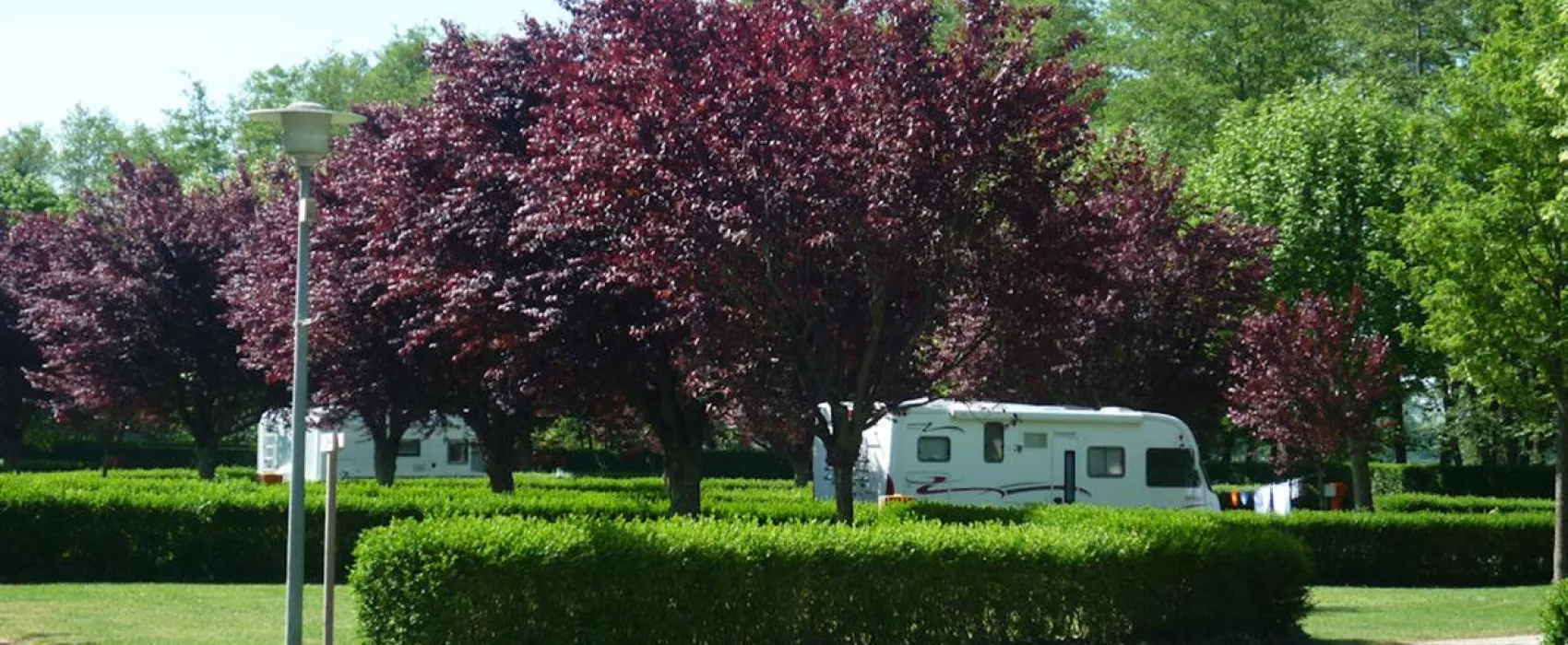 Camping Municipal De La Moutte