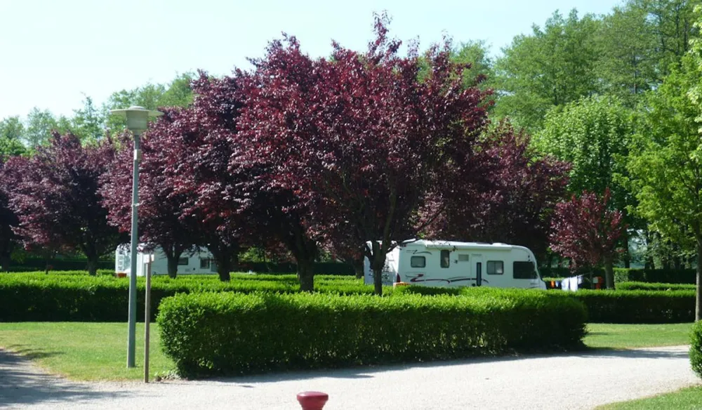 Camping Municipal De La Moutte