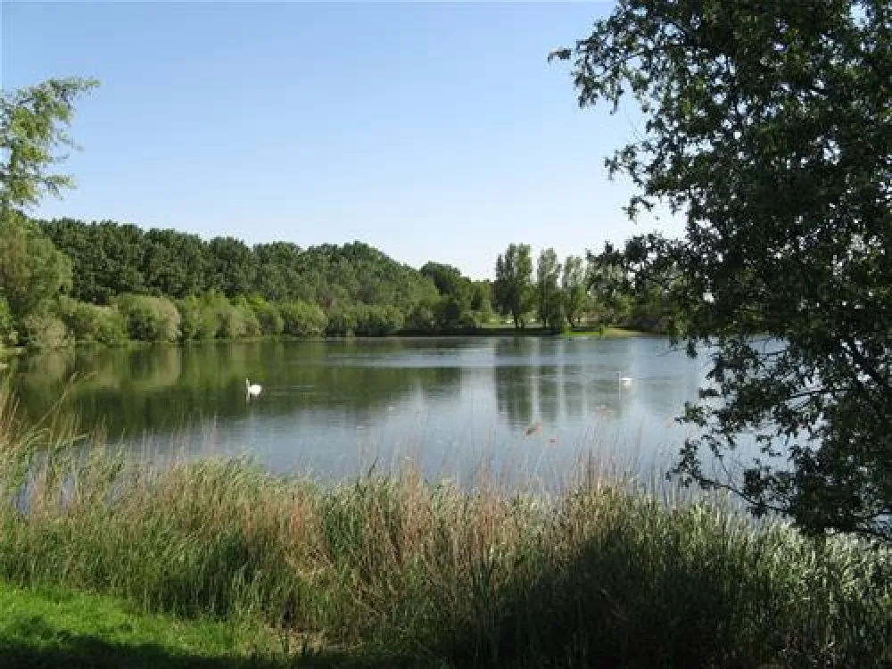 Camping De Maashoeve