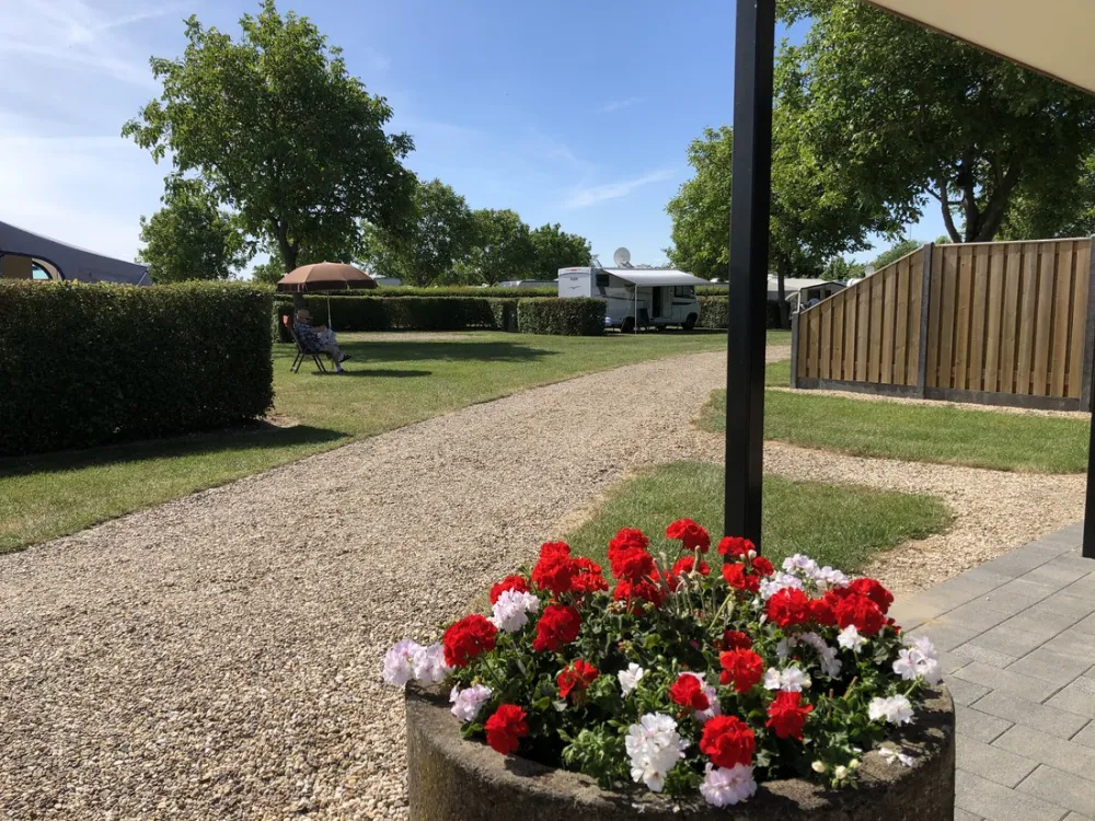 Camping De Maashoeve