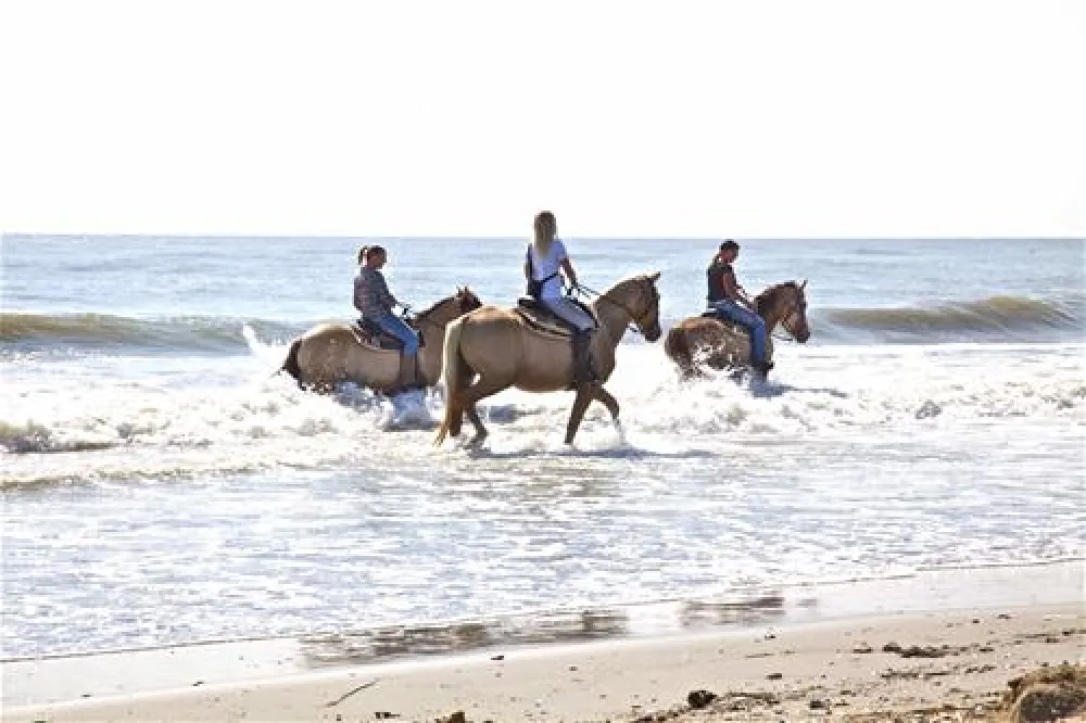 Camping Villaggio Barricata