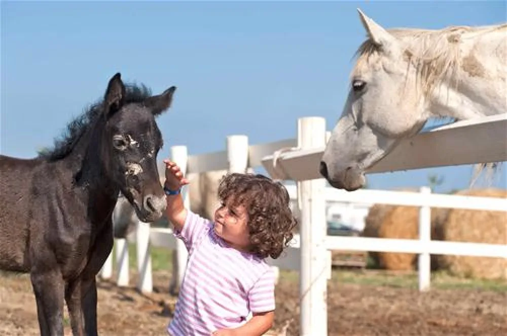 Camping Villaggio Barricata