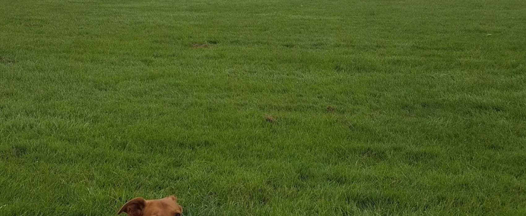 Warwick Castle Knight&#39;s Village