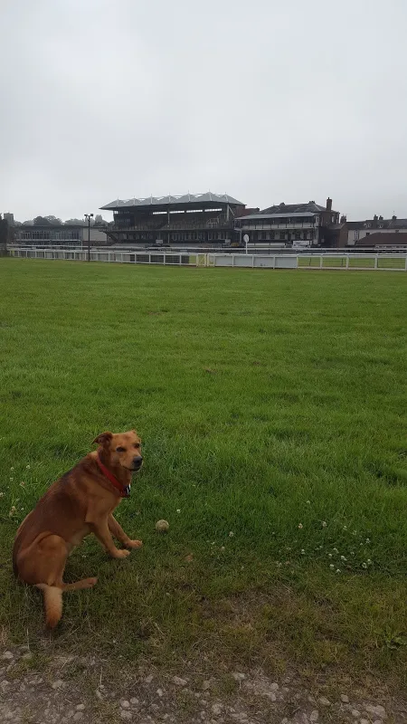 Warwick Castle Knight&#39;s Village