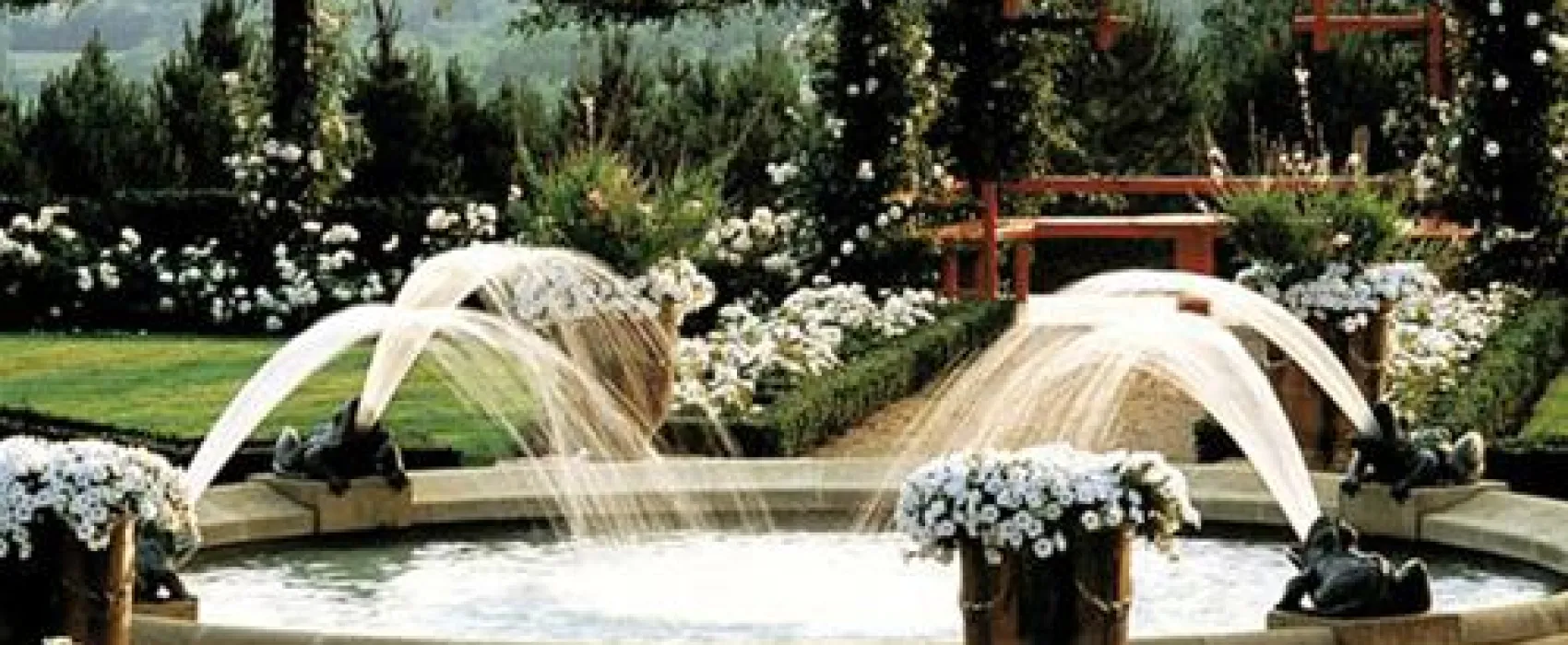 Flower Camping - Le Temps de Vivre  