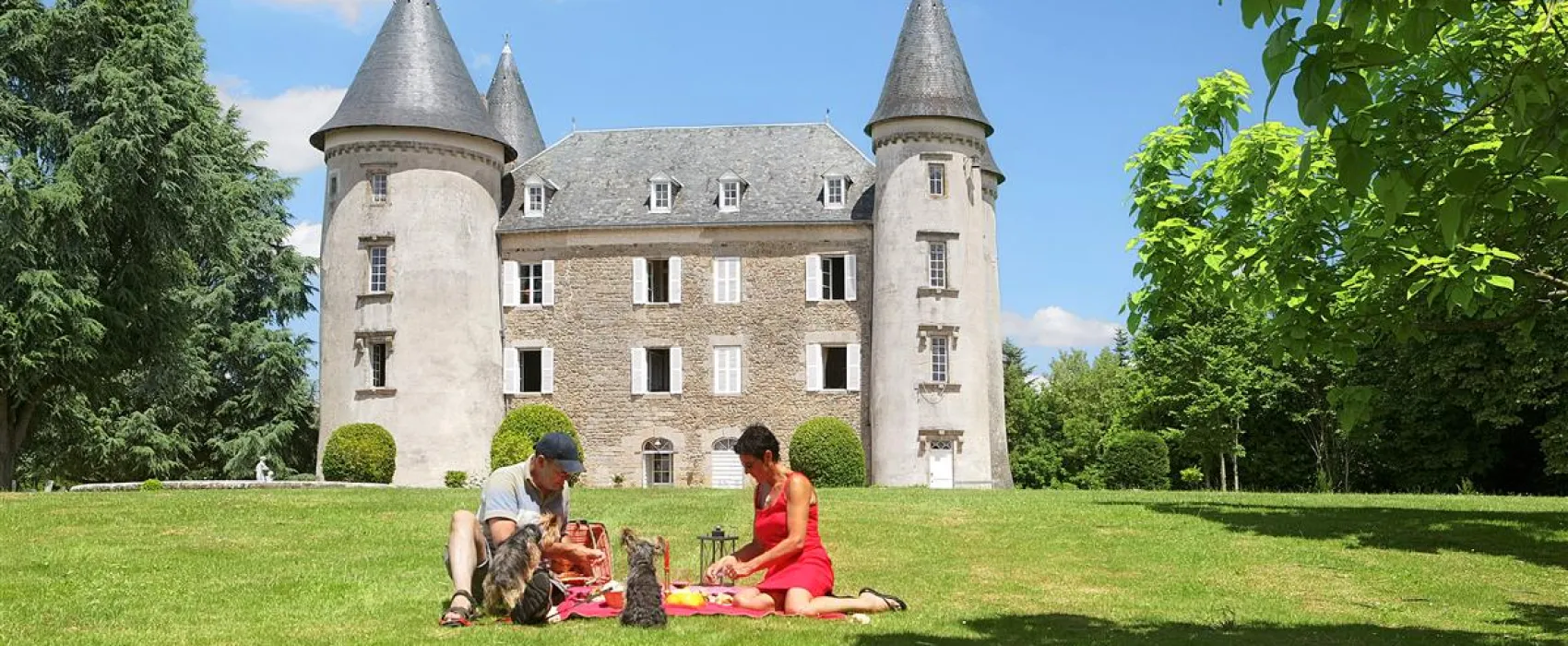 Castel Le Chateau De Leychoisier  
