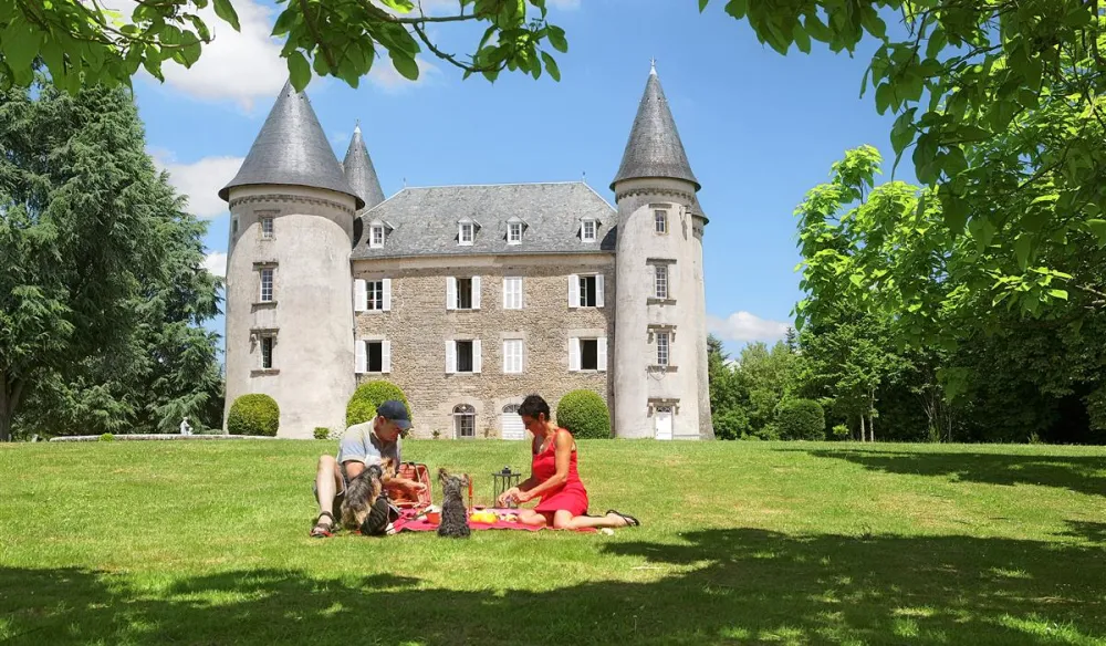 Castel Le Chateau De Leychoisier  