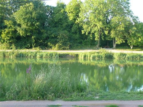 Camping Le Domaine De La Nature photo 5