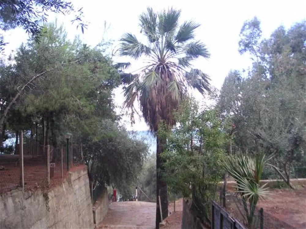 Campeggio San Filippo