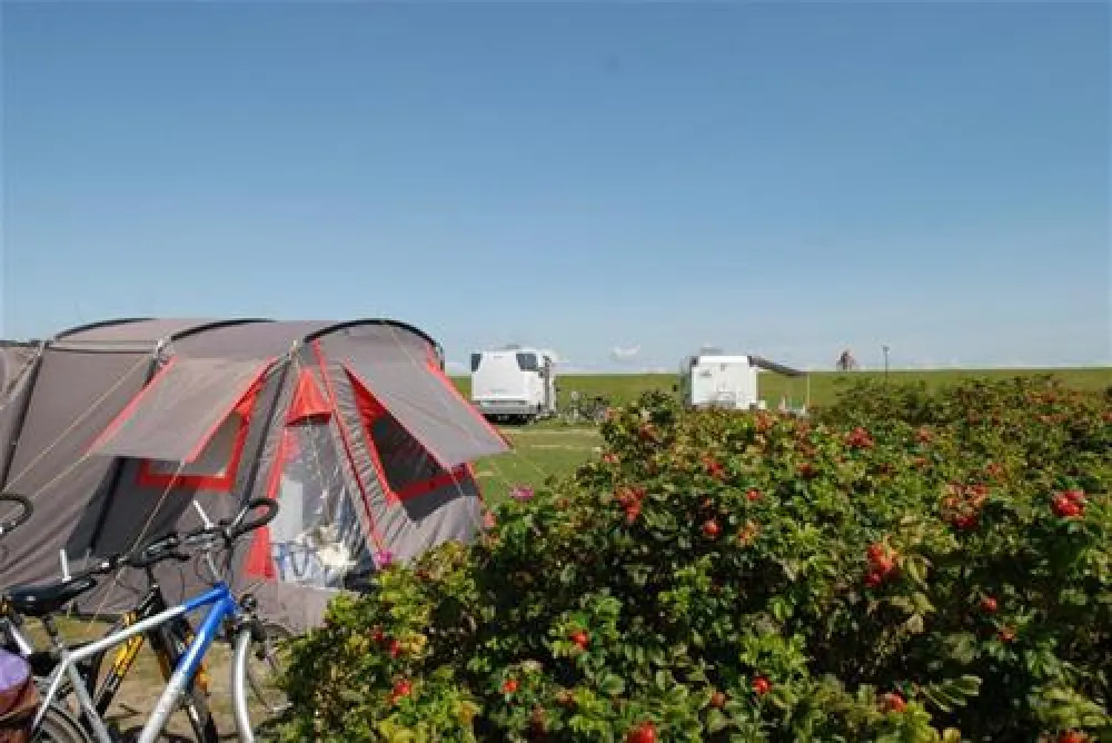 Ostsee Campingplatz Hoeck