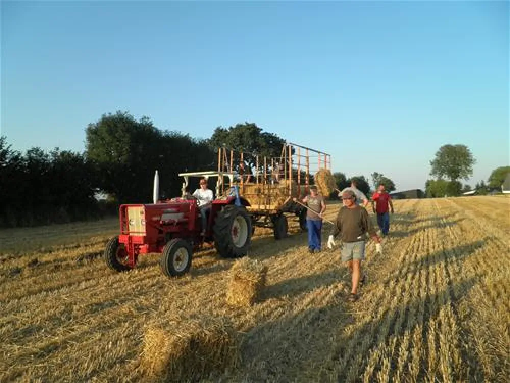Ostsee Campingplatz Hoeck
