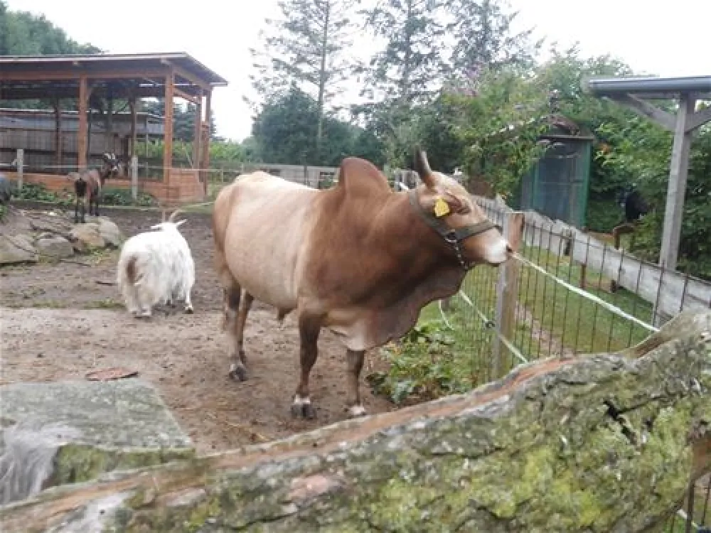 Ostsee Campingplatz Hoeck