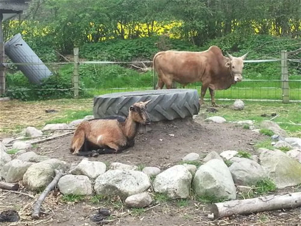 Ostsee Campingplatz Hoeck