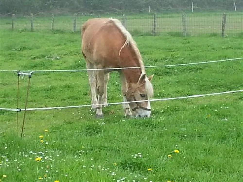 Ostsee Campingplatz Hoeck