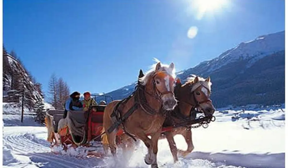 Camping Bella Austria