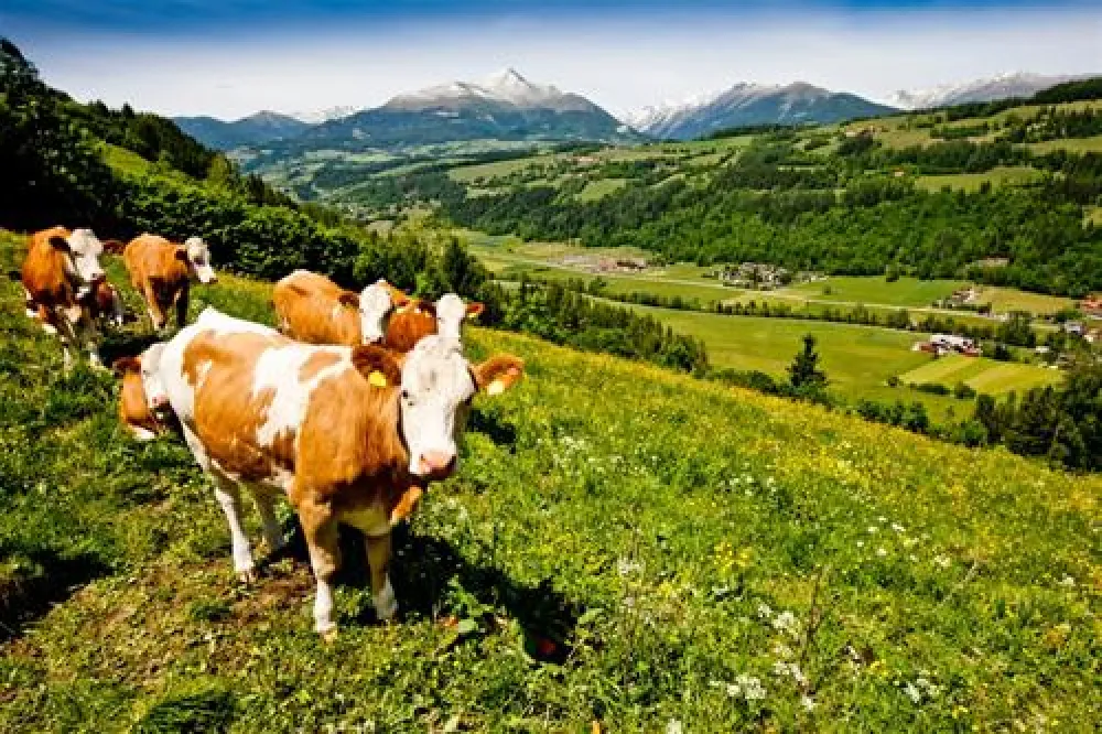 Camping Bella Austria