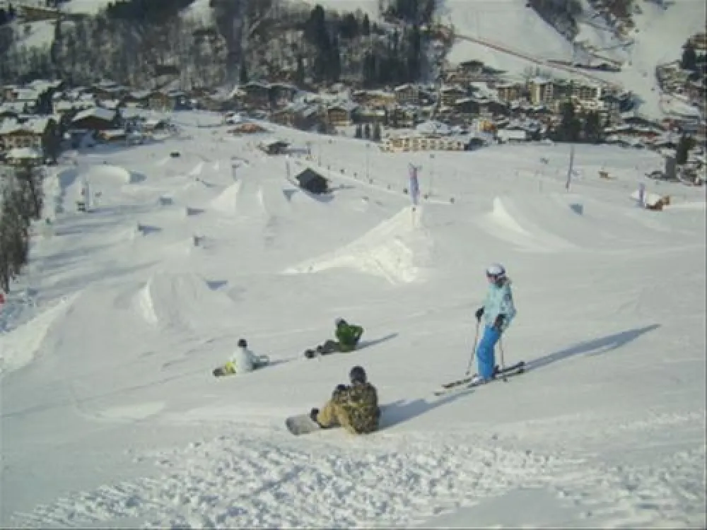 Reisemobilstellplatz Alpenhof