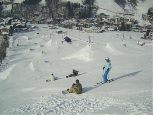 Reisemobilstellplatz Alpenhof photo 3