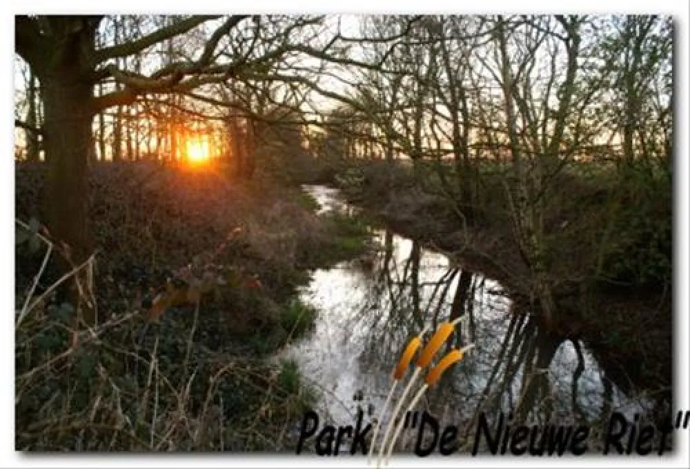 40+ Camping Park De Nieuwe Riet