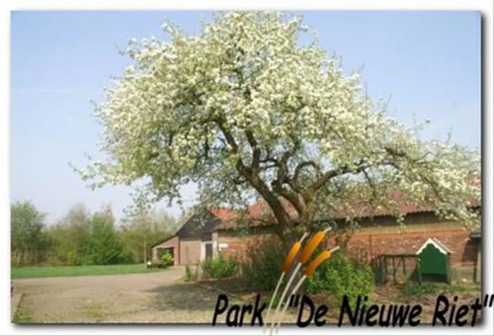 40+ Camping Park De Nieuwe Riet