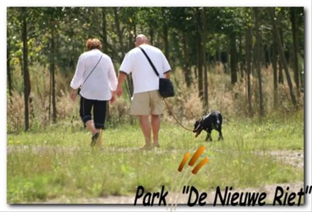 40+ Camping Park De Nieuwe Riet