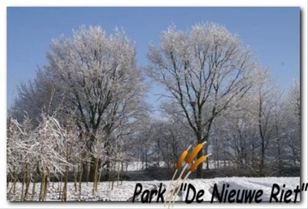 40+ Camping Park De Nieuwe Riet