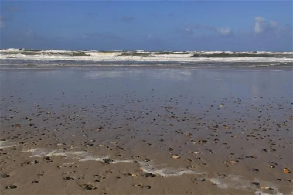 Henne Strand Camping