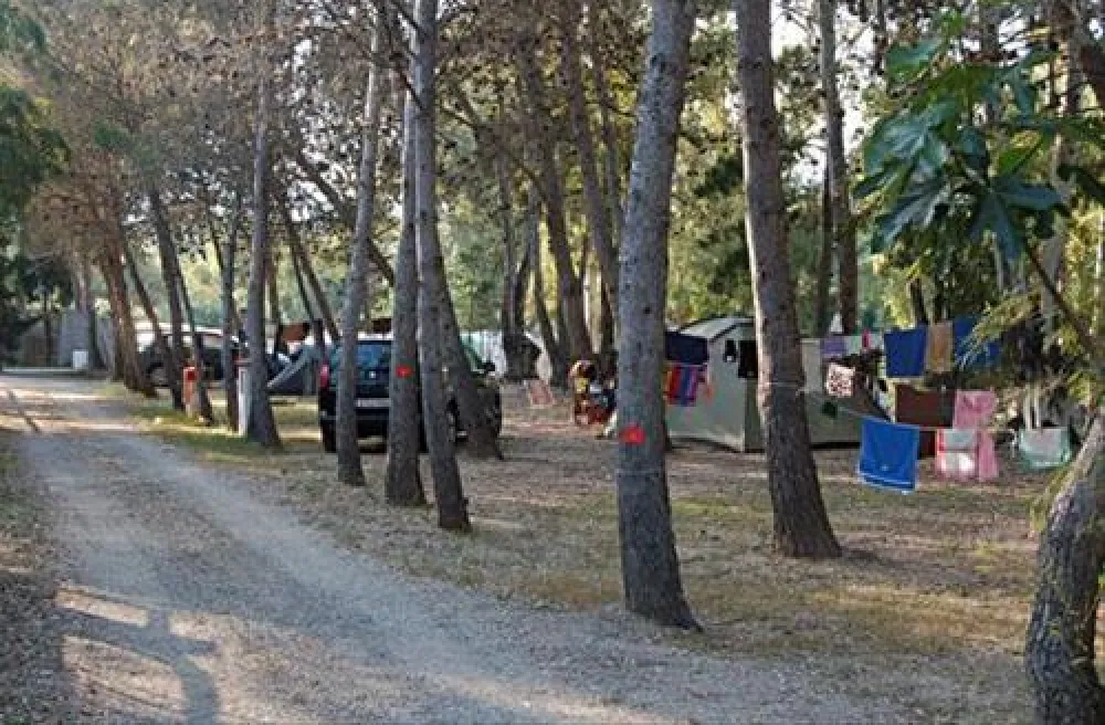 Camping La Pineta