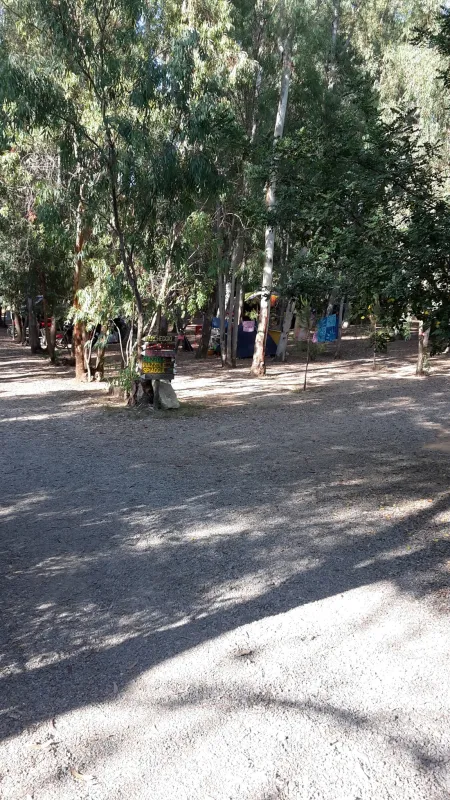 Camping La Pineta