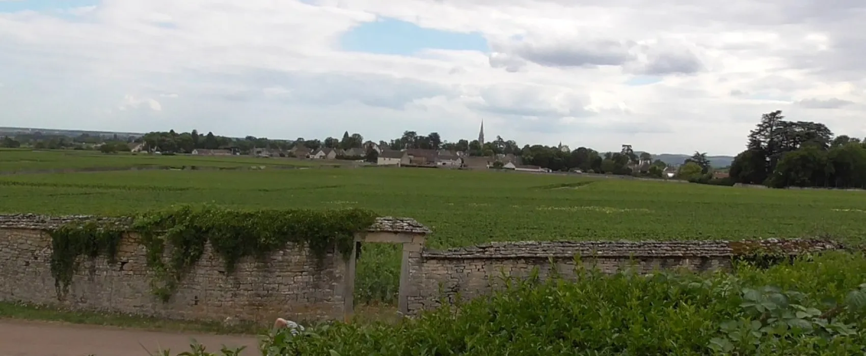 Camping La Grappe d'Or