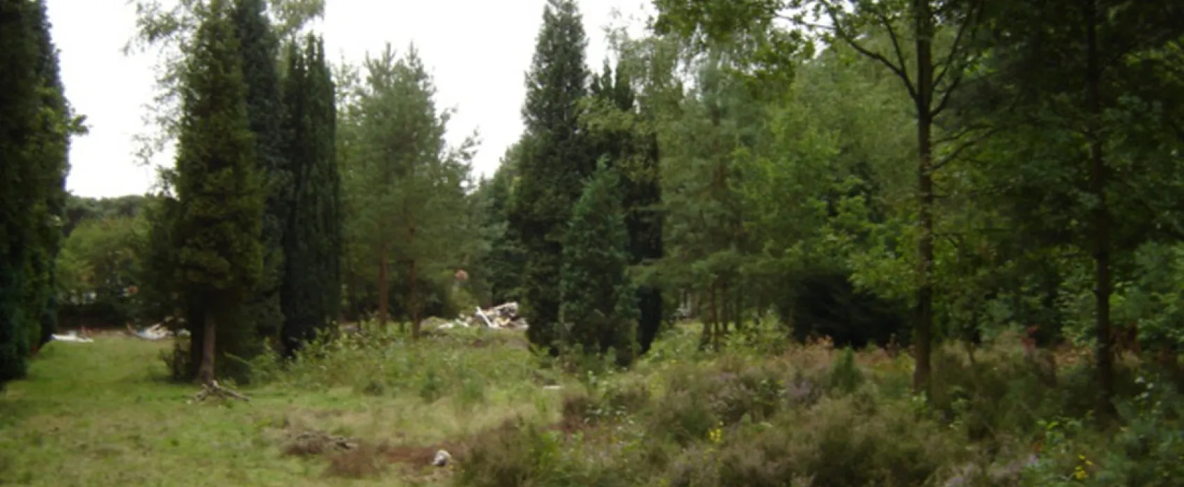 Naturistencamping 't Vennebos