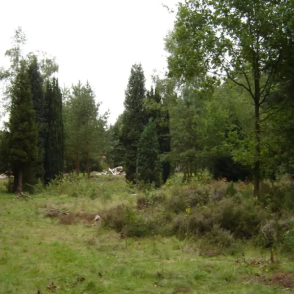 Naturistencamping 't Vennebos