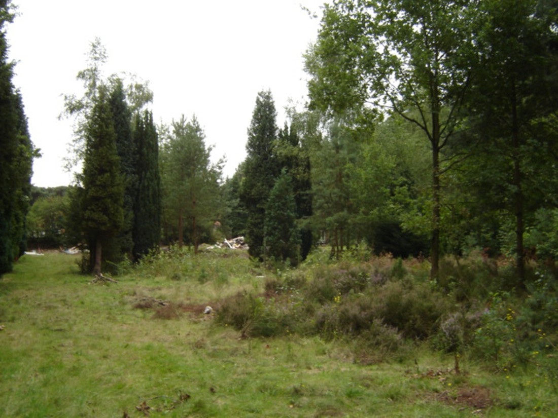Naturistencamping 't Vennebos - Photo 2