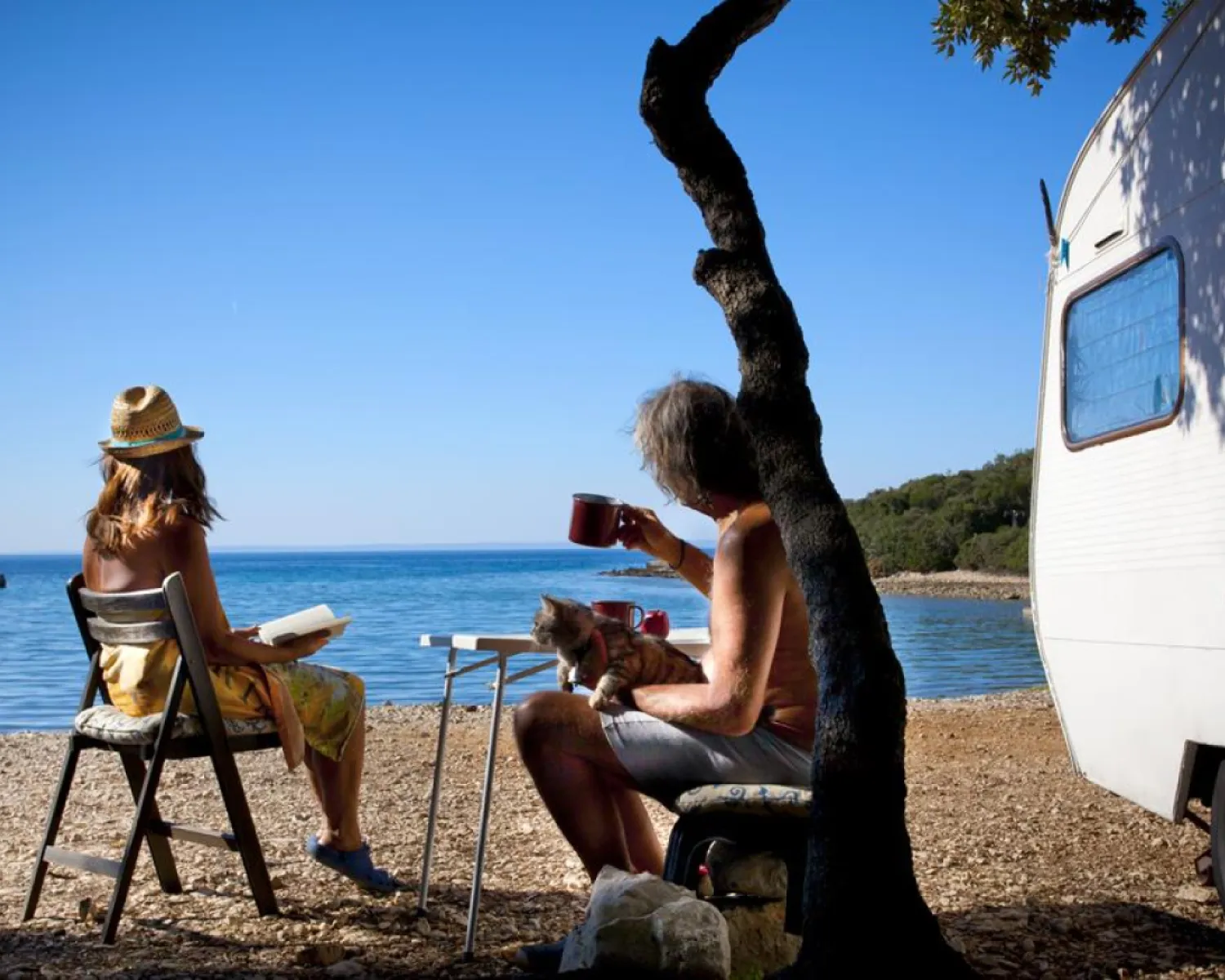 camping holzofen NJ Camping Holzofen Zeltheizung Terrassenofen Kaminofen Heizung Grill