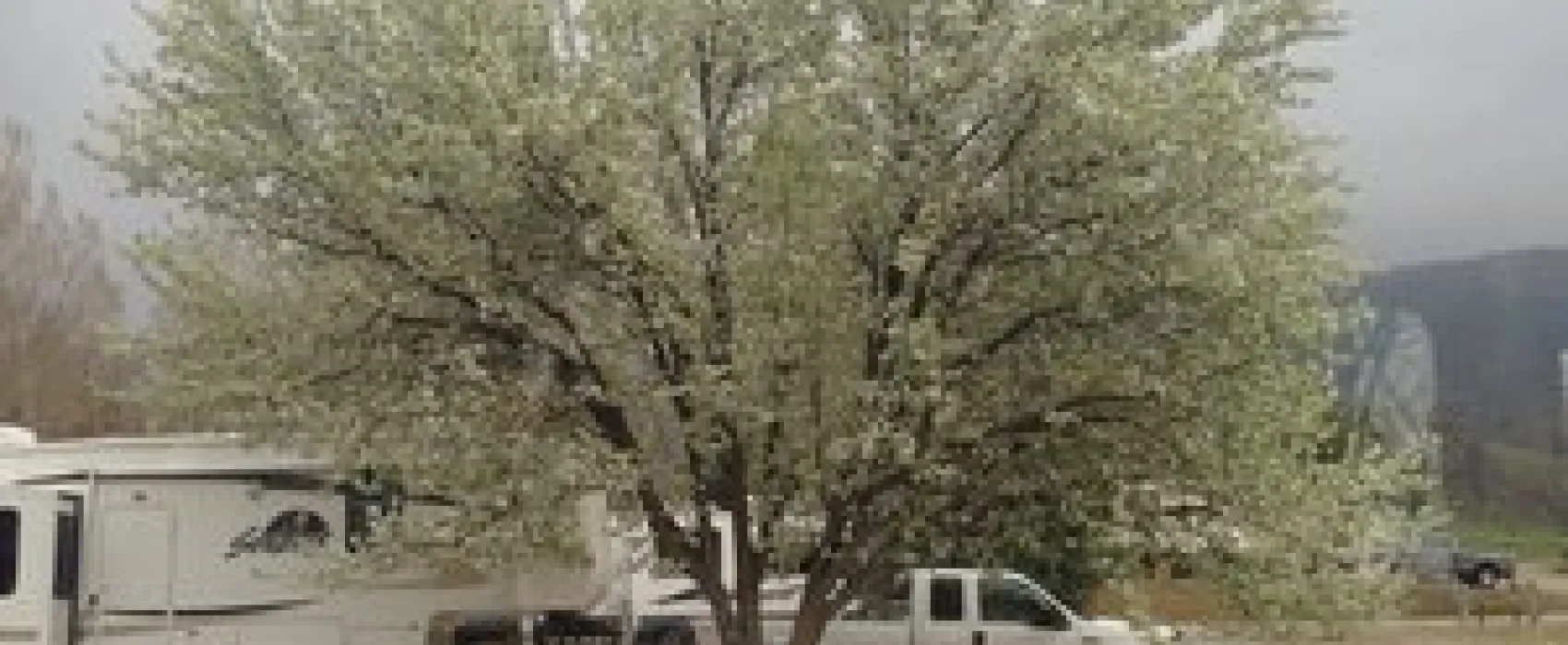 Indian Hill Ranch & RV Park