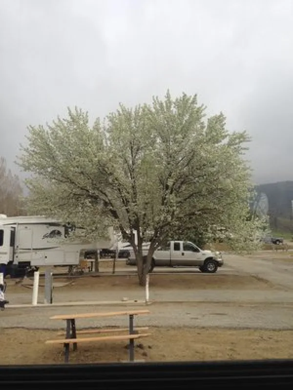 Indian Hill Ranch & RV Park