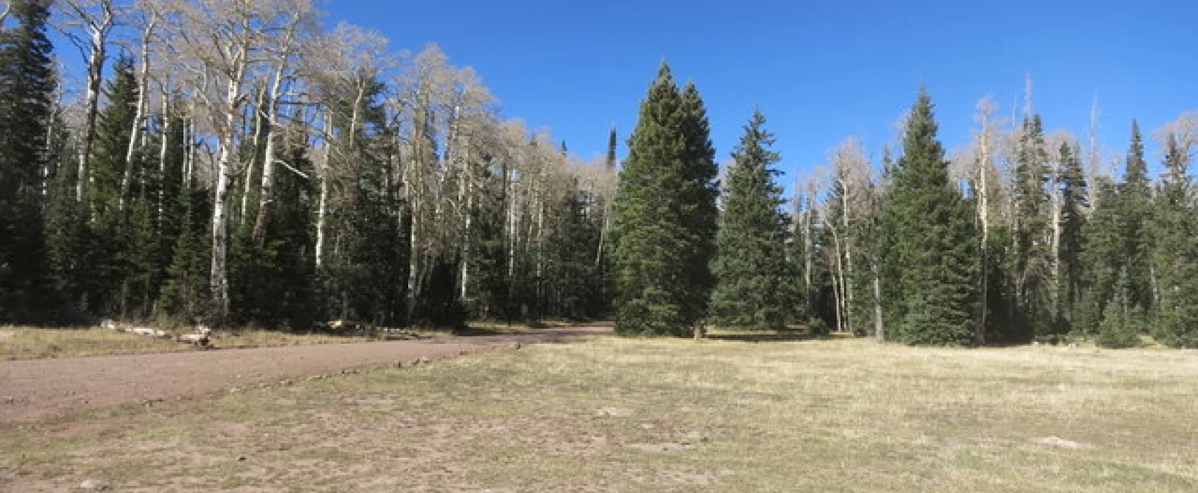 Cedar Breaks Dispersed Camping
