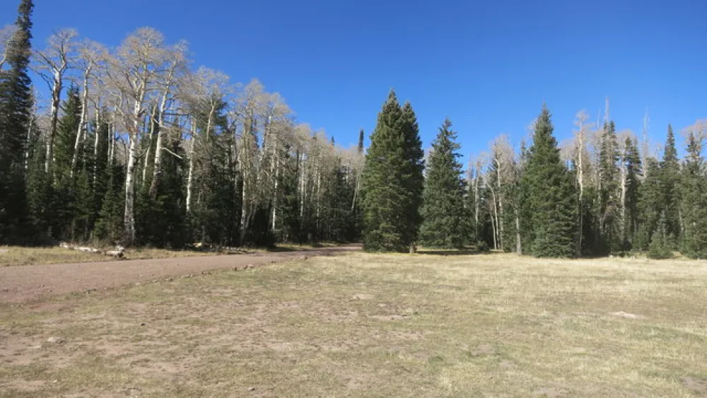 Cedar Breaks Dispersed Camping