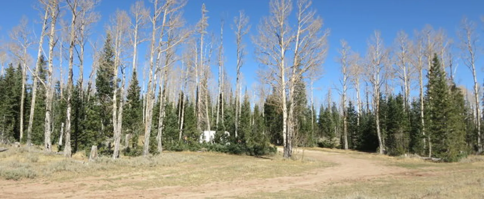 Cedar Breaks Dispersed Camping